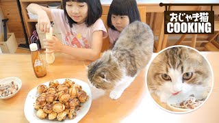 猫用たこ焼きを作って猫と一緒にたこ焼きパーティーをしました！
