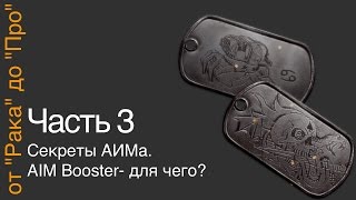 От "Рака" до "Про". Часть 3. Секреты аима. AIM Booster: для чего он?