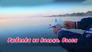 Рыбалка. Ловля леща на кольцо. Рыбалка на Волге  2018 .
