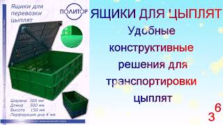 Ящики для транспортировки цыплят