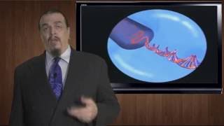 MS/HS LS3. B Meiosis: Evolution of Sex