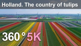 360, Holland. The country of tulips. 5K aerial video