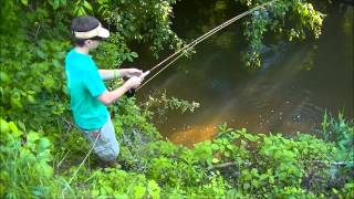 Tiny Creek Flyfishing: 4 Species!