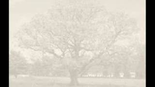 KEANE - "Walnut Tree"