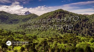 Анализ вирального охвата ВКонтакте