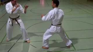 Karate Training with Pads