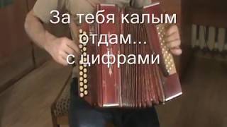 За тебя калым отдам... разбор с цифрами.