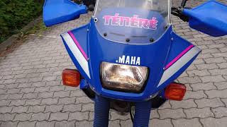 Yamaha XT 660 Z Tenere Bj. 1994