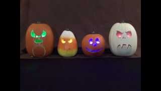 Singing Pumpkins - This Is Halloween