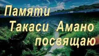 IAPLC 2015 Top 100 layouts/100 лучших работ конкурса Амано