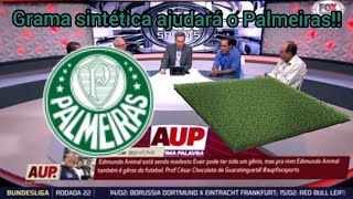 Noticias do Palmeiras hoje - o gramado sintético vai deixar o Palmeiras mais forte jogando em casa!