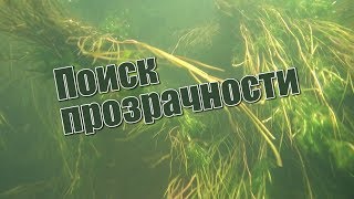 Как определить прозрачность воды? Подводная охота с Александром Кочубеем.