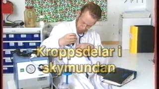 Stereo - Du och din pung