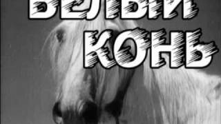 Конь СУПЕР ХИТ!! ШАНСОН ГОДА!! Марсель Давлетов