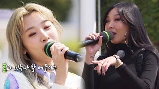 ‘말빨(?)강한 쎈 언니’ 볼빨간사춘기×제시, 같은 노래! 다른 느낌♨