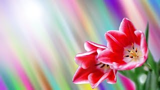Вот это песня!!! Новинка 2017 Шикарная Песня для души!