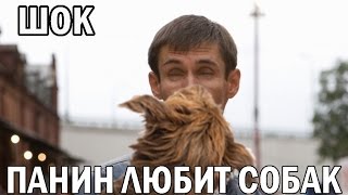 Подборка видео со скрытых камер БОНУС Панин и собака