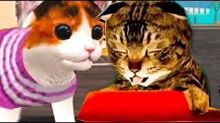 СИМУЛЯТОР Маленького КОТЕНКА #3  котенок игра про котиков мультик видео для детей Валеришка