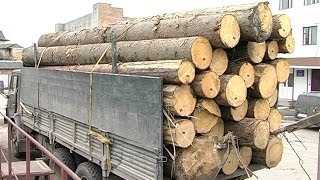 На Коломийщині перевозили дерево та камінь без документів