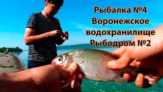Рыбалка №4. Воронежское водохранилище. Рыбодром №2. Ловля на фидер. "Ох уж эти плиты"