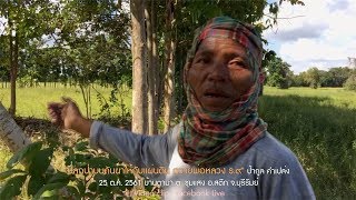 "ปลูกป่าบนคันนาให้กับแผ่นดิน ถวายพ่อหลวง ร.๙" ป้ากูล คำเปล่ง