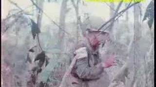 Battle For Dak To (Dakto) & HILL 875 173rd Airborne