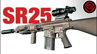 Airsoft SR25 | Long Range and Rapid Follow Up DMR Gameplay