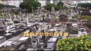 VISITA AO TÚMULO DO ESCRITOR JOSÉ DE ALENCAR