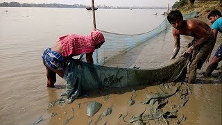 Traditional Fishing in Ganga River Kolkata - Huge fish catching