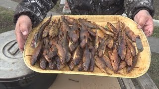 Окунь Горячего Копчения В Домашних Условиях Коптильня Горячего Копчения