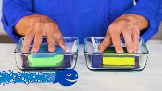 DishFish™ Dual Scrubber Sponge Commercial | 30 Seconds
