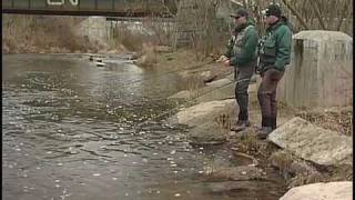 Bottom Bouncing for Steelhead | How To Bottom Bounce Flies
