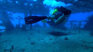 Puerto Morelos - Check out the World Class Reef (3rd of 3)