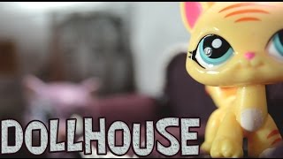 LPS: Кукольный дом серия 8