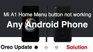 Mi Phone | Home, back and menu button not working | Easy Solution