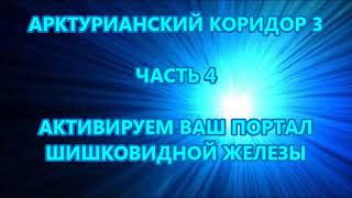 АРКТУРИАНСКИЙ КОРИДОР 3 - ЧАСТЬ 4 - АКТИВИРУЕМ ВАШ ПОРТАЛ  ШИШКОВИДНОЙ ЖЕЛЕЗЫ