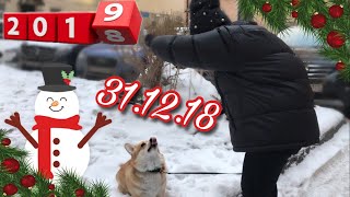 31.12.18 - Как проспать новый год?