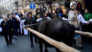 ალილო თბილისი 2018 Alilo Tbilisi 2018  Алило Тбилиси 2018