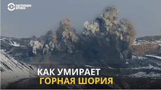 Сибирская Швейцария или технологическая пустыня? Как умирает Горная Шория