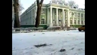 ЗИМНИЕ ЗАРИСОВКИ.ЖИВОТНЫЕ ЗИМОЙ.