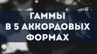 Гаммы в 5 аккордовых формах
