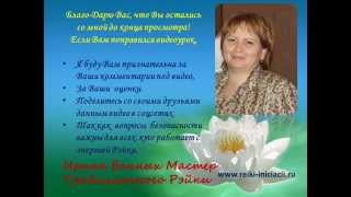 Защита в рэйки - Ирина Банных