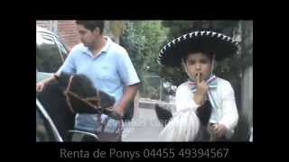 Renta de Ponys. Alquiler de Ponis. FIESTAS INFANTILES. D.F.