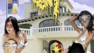 Gut - Jenna Haze (You're A Pro)