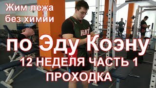 Жим лежа по Эду Коэну видео: 12 / Bench press by Ed Coan