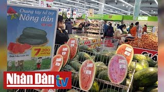 Siêu thị bắt đầu giải cứu thanh long, dưa hấu