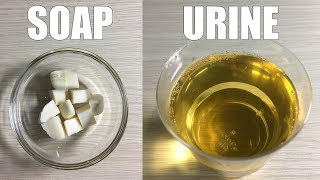 Pregnancy Test With Soap Positive - How To Do A Pregnancy Test At Home