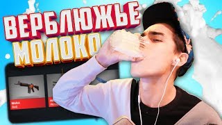 ПЬЮ ВЕРБЛЮЖЬЕ... МОЛОКО CHALLENGE!!! ШУБАТ ЗАЛПОМ ИЛИ ДРАГОН ЛОР ЧЕЛЕНДЖ!!!