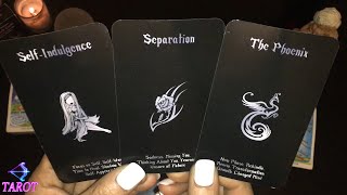 2/4 Tarot - Cancer, Scorpio, Pisces (Timestamped Daily Outlook HD)