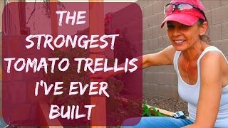 How To Stake & Tie Tomato Plants - Trellis Ideas For Strong Winds - Vegitable Garden Arizona